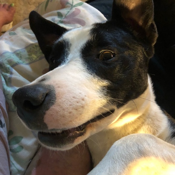 We Finally Did It! - Picture 6 of 8